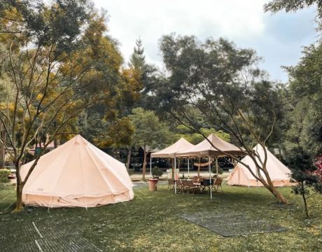 �K�ͱm�i�����S��