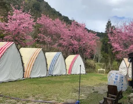 ���w�Խ��S���